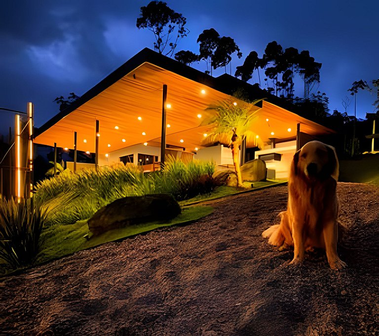 Camping do Bosque - Deck 01