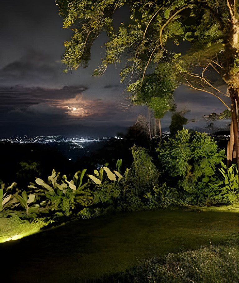 Camping do Bosque - Deck 01