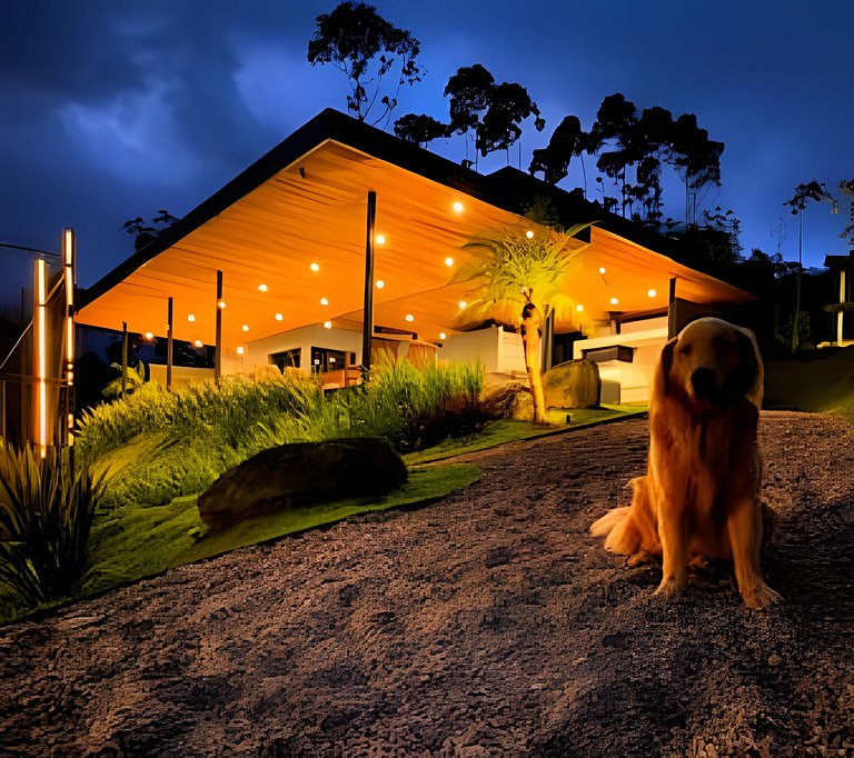 Camping do Bosque - Deck 01