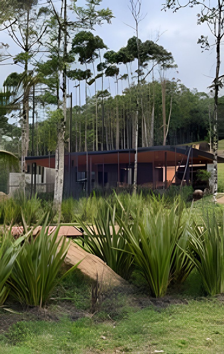 Camping do Bosque - Deck 01