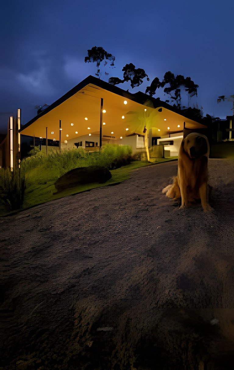 Camping Pinhais - Clareira 04