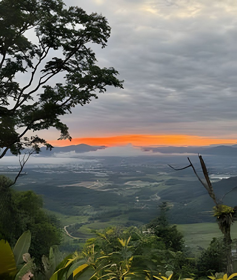 Camping Pinhais - Clareira 04