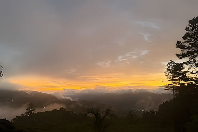 Camping Pinhais - Clareira 05