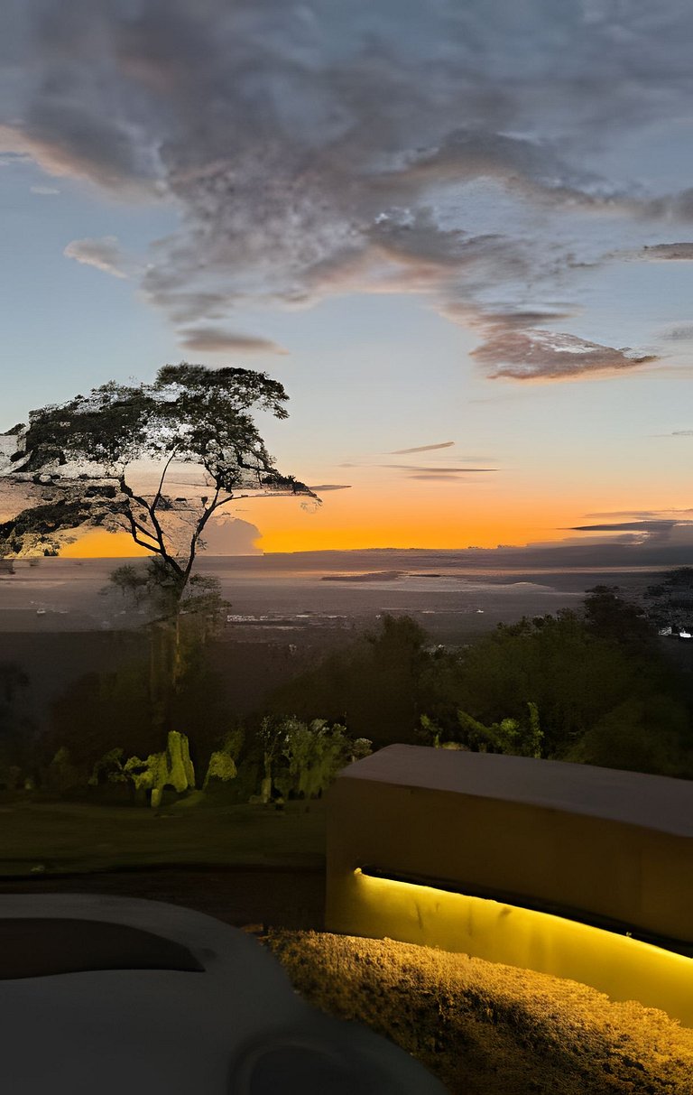Camping Pinhais - Clareira 05