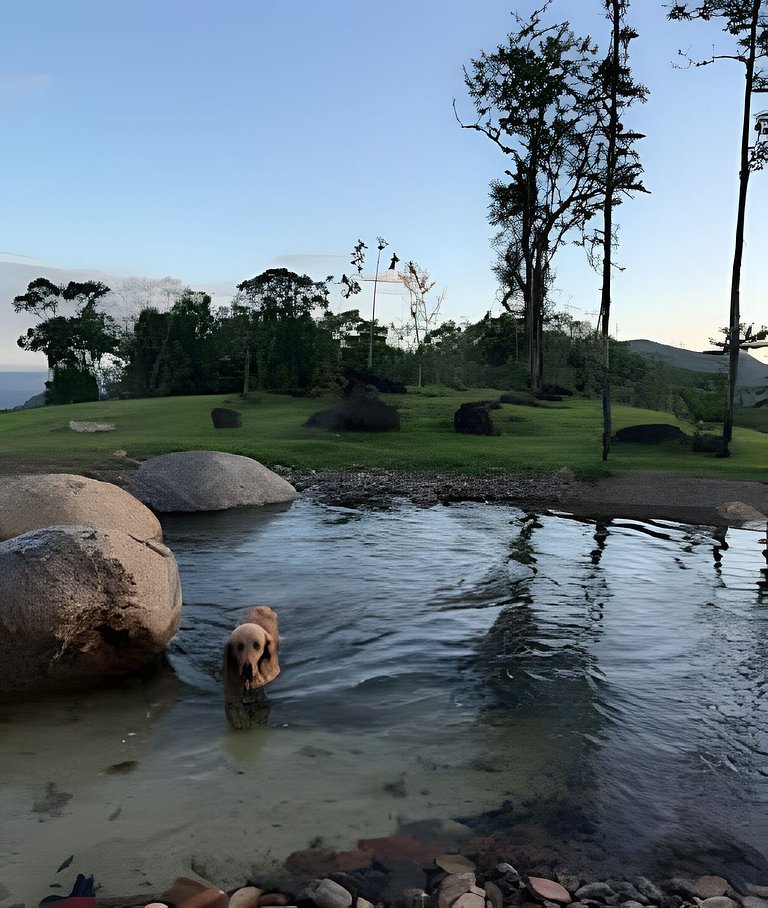 Camping Pinhais - Clareira 05