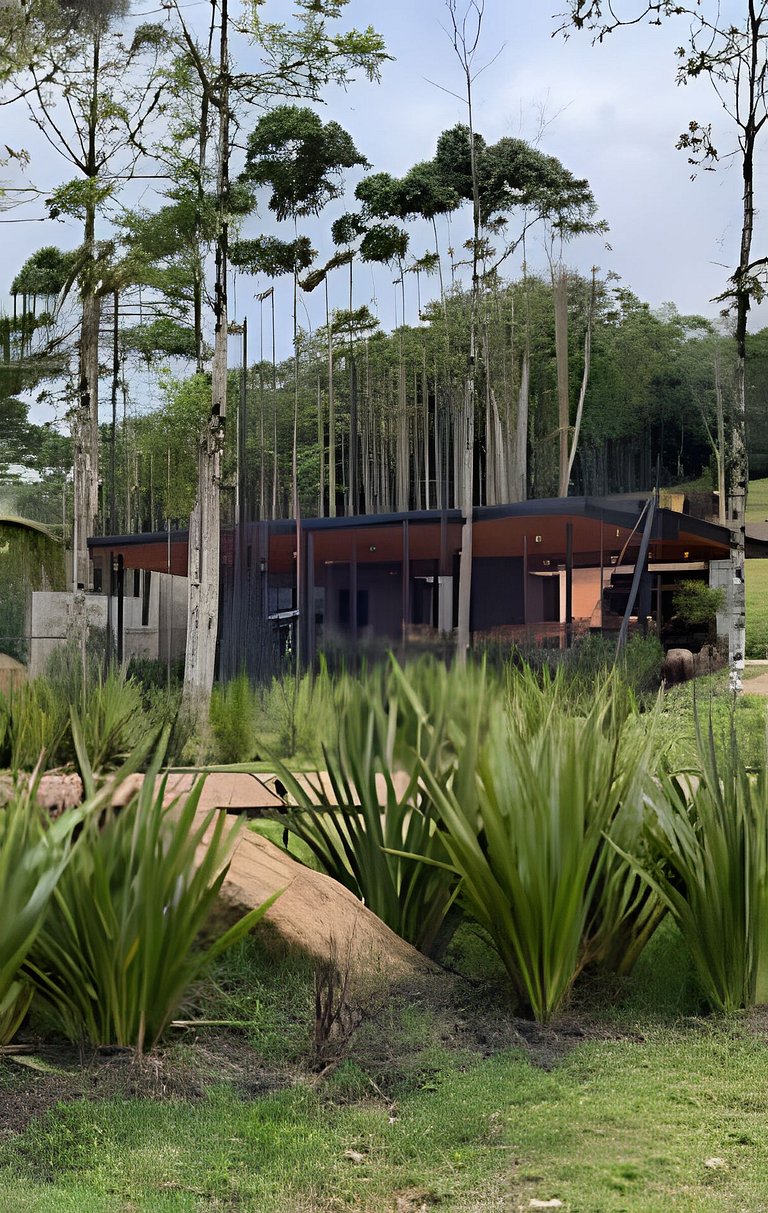 Camping Pinhais - Clareira 02