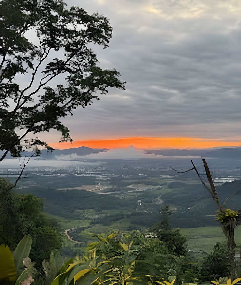 Camping Pinhais - Clareira 02