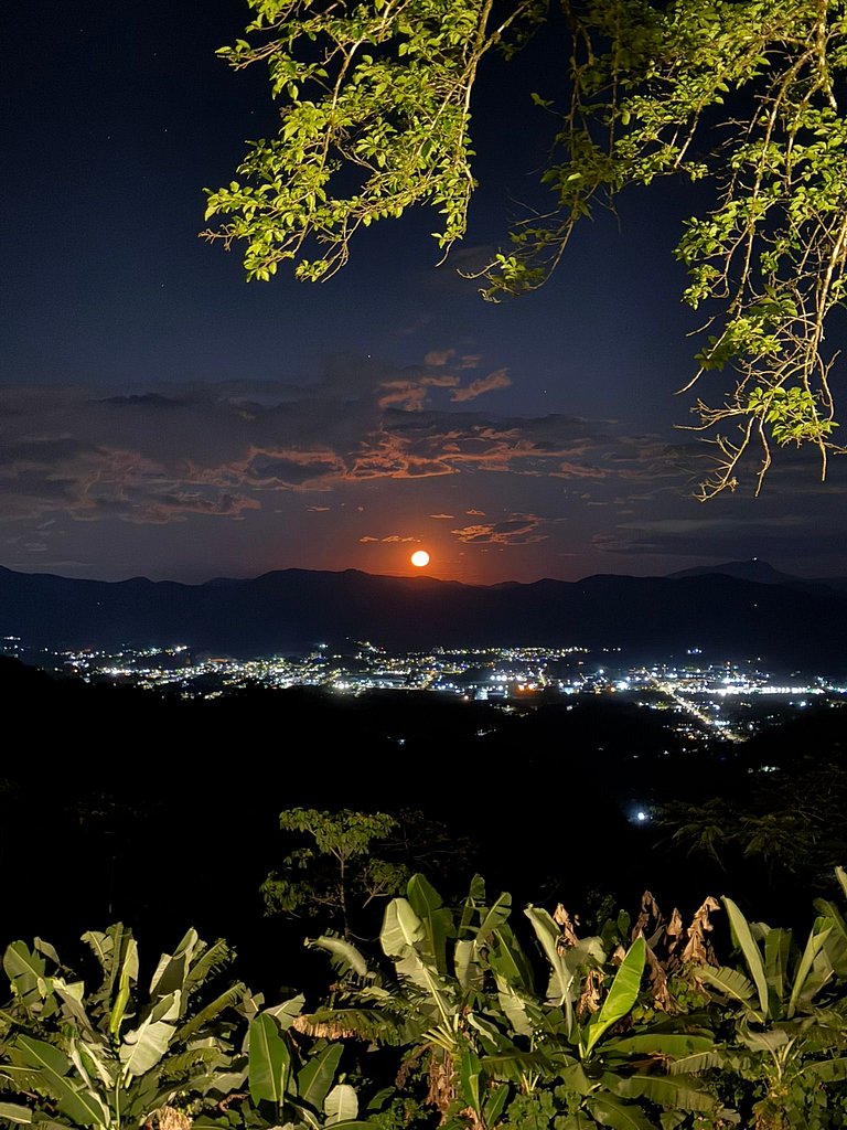 Cabana Panorama - Parque Floresta Alta