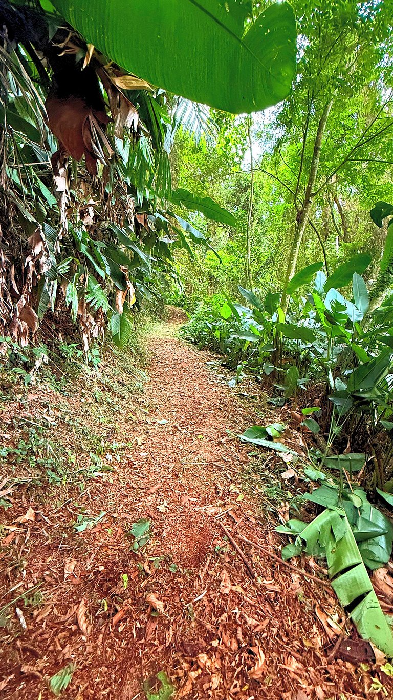 Camping Pinhais - Clareira 01