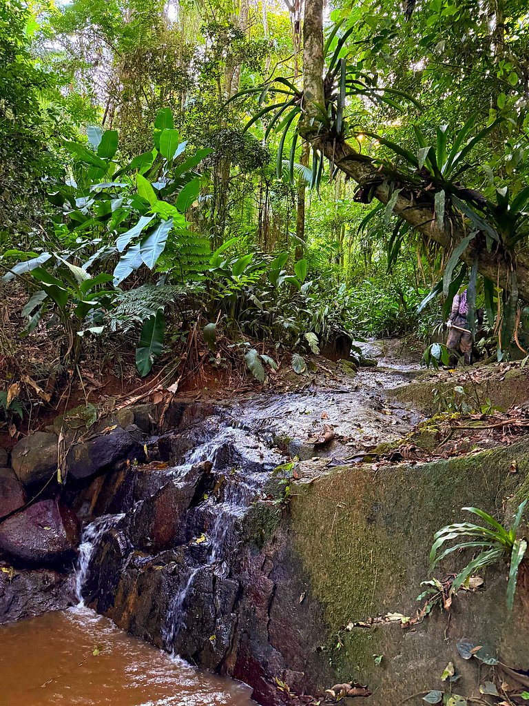 Camping Pinhais - Clareira 01