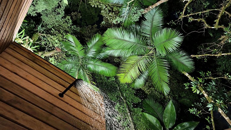 Camping Pinhais - Clareira 04