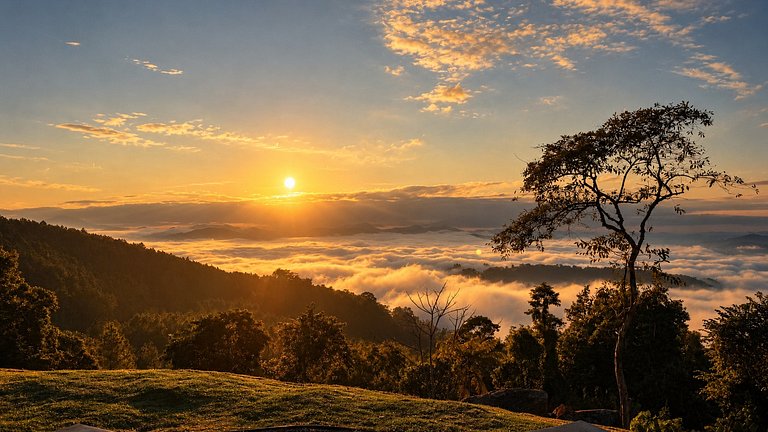 Acampamento Livre - Espaço para Barraca